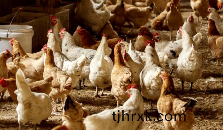 商業(yè)(ye)精(jing)細(xì)(xi)化工(gong)